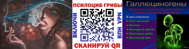 сайты даркнета клад  MEGA зеркало  Балей  Псилоцибиновые грибы Cubensis 